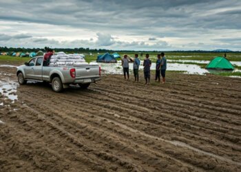 img 1765014550 9753cd5597e189f6