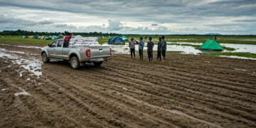 img 1765014550 9753cd5597e189f6