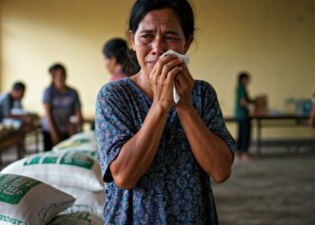 img 1765014604 ded2be3bf57d6dae