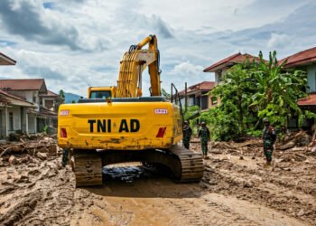 img 1765089382 90e55abdc8c51830