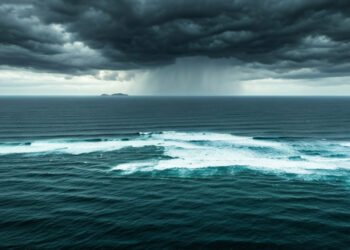 img 1765368692 cf4264c0c448a778