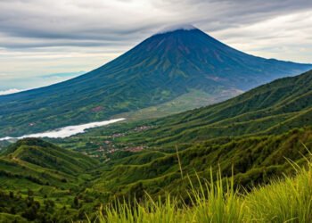 img 1765369552 7fd34f3ca3a22727