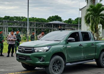 img 1765922916 c084707d778bc42b