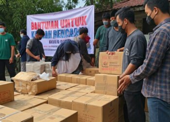 img 1765988098 6117eb6320b4d679