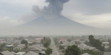 img 1766016147 8bf4e7407d08bc1d