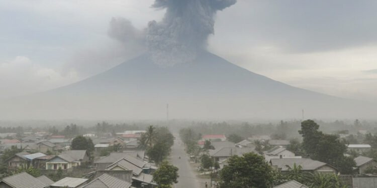 img 1766016147 8bf4e7407d08bc1d