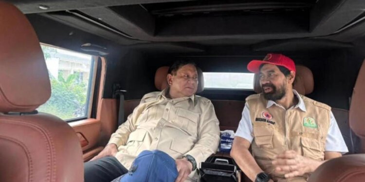 img 1766021834 a31617ba252093dc