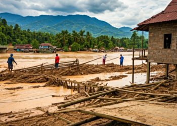 img 1766021973 0431cc43ee2b0f9f