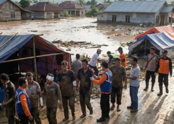 img 1766022497 6ab3ed279f841a1d