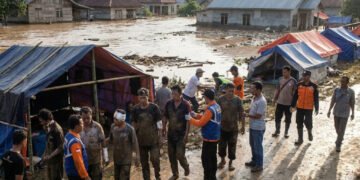 img 1766022497 6ab3ed279f841a1d