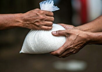 img 1766025969 14cf39d013a4387d