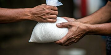 img 1766025969 14cf39d013a4387d