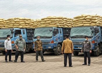 img 1766088264 f60932e871b2b37f