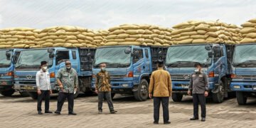 img 1766088264 f60932e871b2b37f