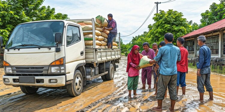 img 1766219274 d55327c18c09fe79