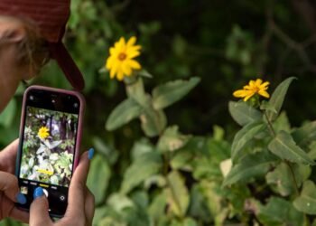 Gila! Bikin Foto HP Sekeren Kamera Profesional? Ini 5 Tips Anti-Gagal dari Aku, Dijamin Auto Keren!