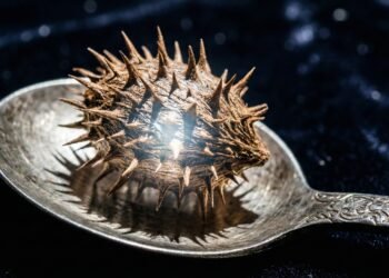 Belajar dari Venezuela: Jangan Sampai Jari Kelingking Kita Jadi Pemicu Kebangkrutan Negara