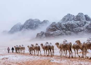 KPK Imbau Biro Travel Kembalikan Uang Korupsi Haji, Capai Miliaran Rupiah