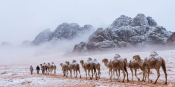 KPK Imbau Biro Travel Kembalikan Uang Korupsi Haji, Capai Miliaran Rupiah - Utama