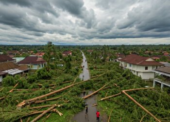 Cuaca Ekstrem Landa Maros: 24 Pohon Tumbang, 12 Rumah Rusak, Listrik Padam, BPBD Respons Cepat