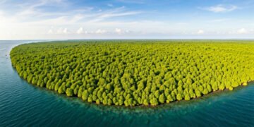 Indonesia Ungkap Luas Mangrove 3,4 Juta Hektare Berdasarkan Peta Nasional 2025