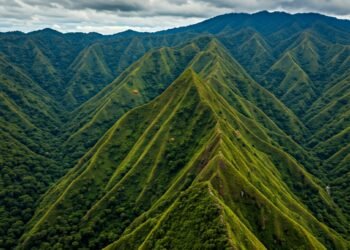 UPDATE: Pesawat KKP Hilang Kontak Dekat Makassar: Pencarian Intensif di Kawasan Gunung, 10 Orang dalam Pesawat