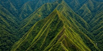 UPDATE: Pesawat KKP Hilang Kontak Dekat Makassar: Pencarian Intensif di Kawasan Gunung, 10 Orang dalam Pesawat