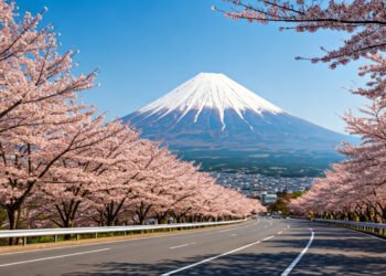 Festival Sakura Fujiyoshida Dibatalkan: Ketika Keindahan Alam Tergerus Overtourism