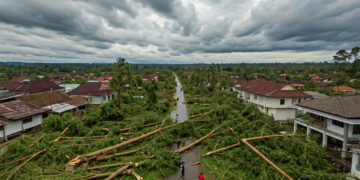 Alam dan Lingkungan Hidup - Featured