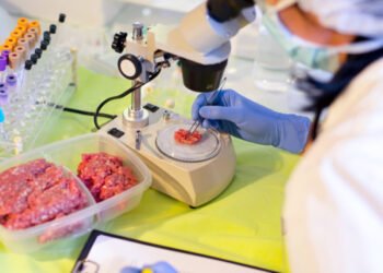 Presiden Prabowo Resmikan 1.179 SPPG dan 18 Gudang Pangan, Cek Langsung Food Safety Polri