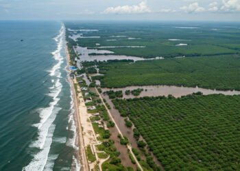Rejang Lebong: Lumbung Sayuran Bengkulu di Tengah Ancaman Fluktuasi Harga dan Limbah Pertanian