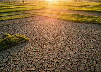 BMKG Prediksi Kemarau 2026 Datang Lebih Awal, Lebih Kering, dan Lebih Panjang