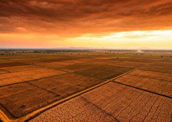 Prediksi Cuaca Panas Ekstrem ‘Godzilla El Niño’ Landa Indonesia Mulai April 2026