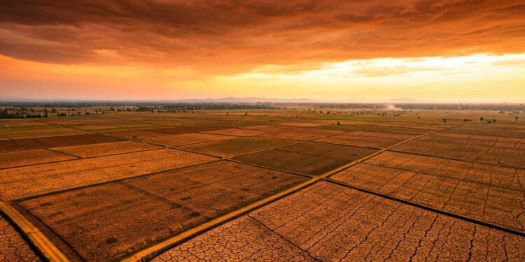 Prediksi Cuaca Panas Ekstrem ‘Godzilla El Niño’ Landa Indonesia Mulai April 2026 - Featured