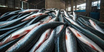 Waspada Konsumsi Ikan Sapu-Sapu: 6,9 Ton Ditangkap Serentak di Jakarta