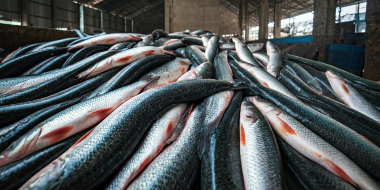 Waspada Konsumsi Ikan Sapu-Sapu: 6,9 Ton Ditangkap Serentak di Jakarta - Featured