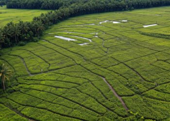 Stadion Barombong Makassar: Miliar Rupiah Terbengkalai Akibat Lahan yang Tak Kunjung Tuntas