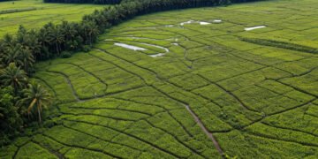 Stadion Barombong Makassar: Miliar Rupiah Terbengkalai Akibat Lahan yang Tak Kunjung Tuntas