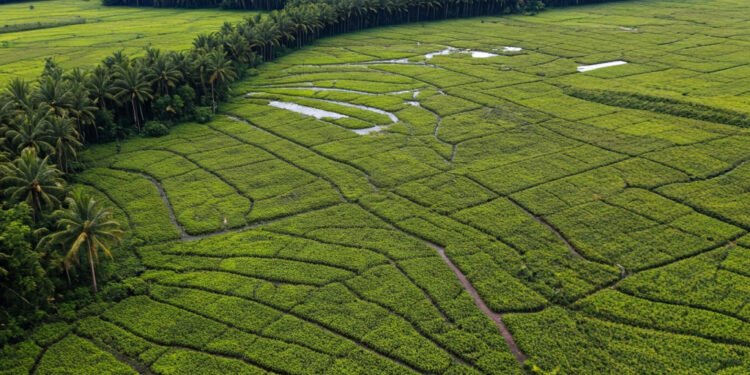 Stadion Barombong Makassar: Miliar Rupiah Terbengkalai Akibat Lahan yang Tak Kunjung Tuntas - Featured