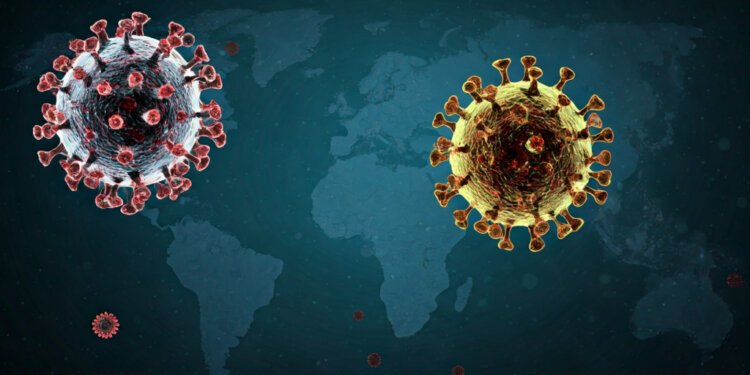 Hantavirus di Indonesia: Klarifikasi Kasus, Risiko, dan Kesiapan Pemerintah