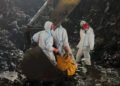 Data BNPB: Sementara 13 Orang Meninggal Dunia Pasca Erupsi Gunung Semeru Data BNPB: Sementara 13 Orang Meninggal Dunia Pasca Erupsi Gunung Semeru - Featured