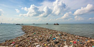 Pulau Sampah Muncul Lagi di Muara Angke: Pemprov DKI Bergerak Cepat Atasi 8,8 Ton Timbunan