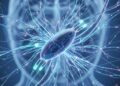Sejarah Chip Prosesor: Dari Single-Core Klasik ke Quantum Komputasi Masa Depan - Featured