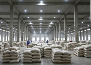 Stok Beras Sulsel Dipastikan Aman 10 Bulan: Bulog Imbau Warga Makassar dan Sekitarnya Hindari Panic Buying