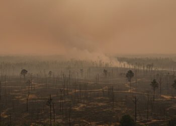 Karhutla Kalimantan Mengganas: Kabut Asap Pekat ‘Kepung’ Warga di Tengah El-Nino Godzilla