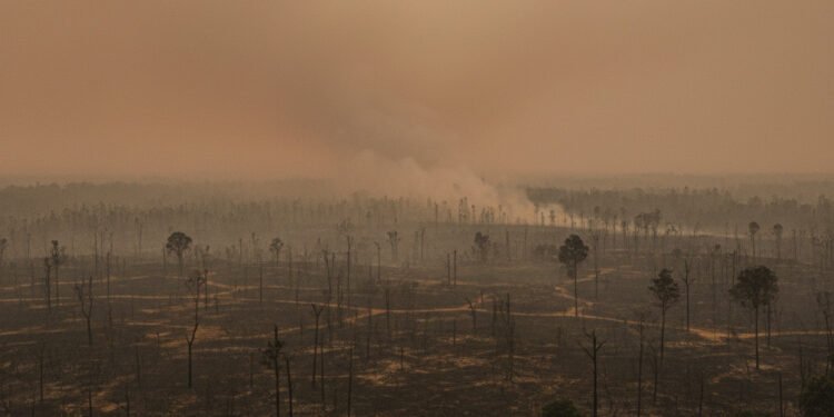 Karhutla Kalimantan Mengganas: Kabut Asap Pekat ‘Kepung’ Warga di Tengah El-Nino Godzilla - Featured