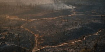 112 Kebakaran Lahan & Hutan Melanda Sulsel Selama Kemarau 2026: Ratusan Hektare Lenyap, 12 Keluarga Terdampak