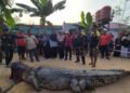 25 Kali Gempa Mengguncang Parigi Moutong dalam Empat Hari Terakhir 25 Kali Gempa Mengguncang Parigi Moutong dalam Empat Hari Terakhir - Featured