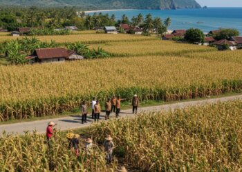 Pemerintah Dorong Produksi Jagung Nasional, Sasar Desa Pesisir dan Terpencil