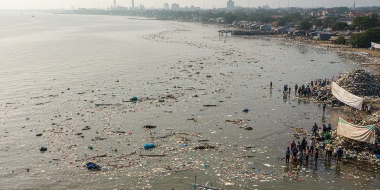 Mikroplastik Ancam Perairan Sulawesi Selatan: Dampak Lingkungan dan Solusi Terpadu Mikroplastik Ancam Perairan Sulawesi Selatan: Dampak Lingkungan dan Solusi Terpadu - Featured